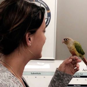 Meet your Posher, Alyssa